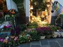 Flower Shop - Capri